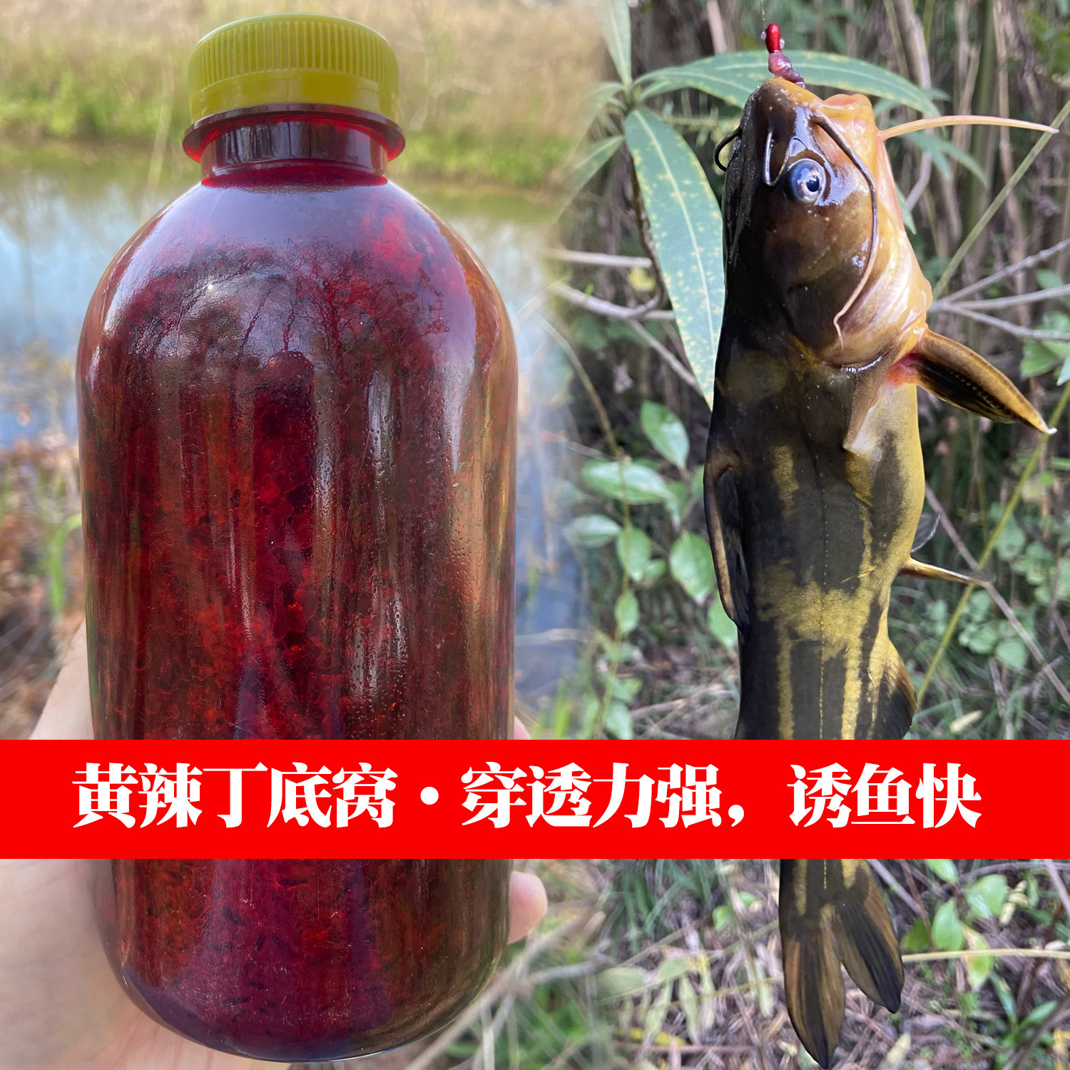 老海鸥钓鱼【黄辣丁酒米】昂刺黄活饵/谷麦饵等饵料