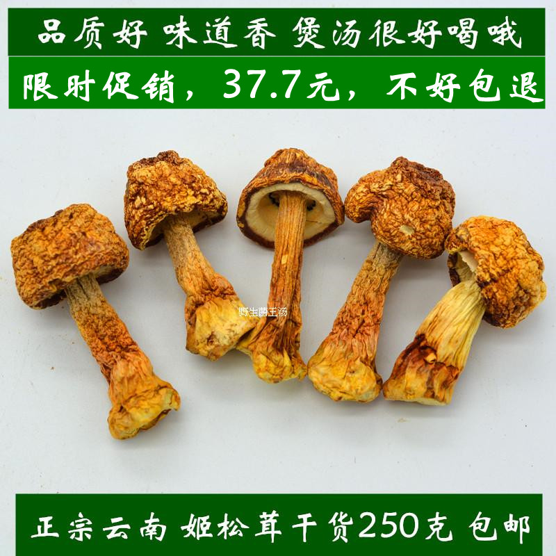 云南松茸菌大个姬松茸干货无硫美味非野生菌蘑菇250g煲汤炖汤食材 粮油调味/速食/干货/烘焙 香菇类 原图主图