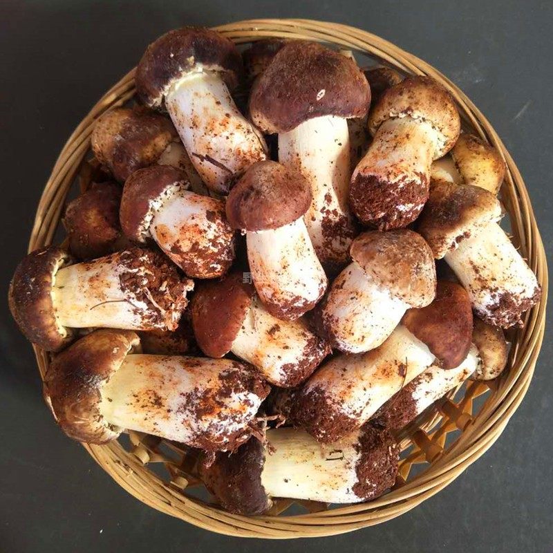 云南新鲜姬松茸非野生松茸菌巴西蘑菇炒菜美味鲜脆营养500g包邮