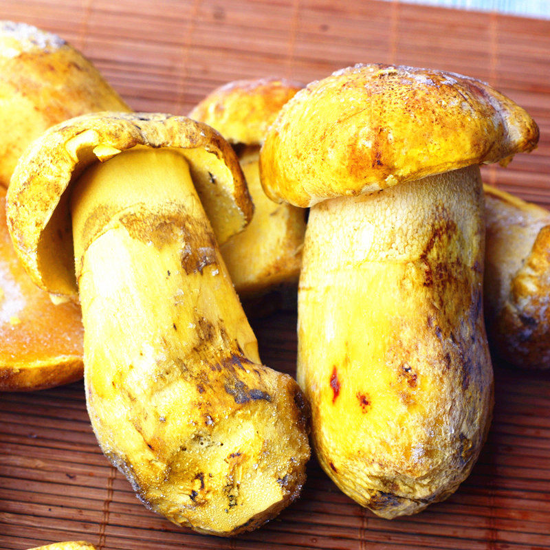 黄牛肝白葱菌冰鲜现货云南大理野生菌菇特产鲜香味浓炒辣椒500克