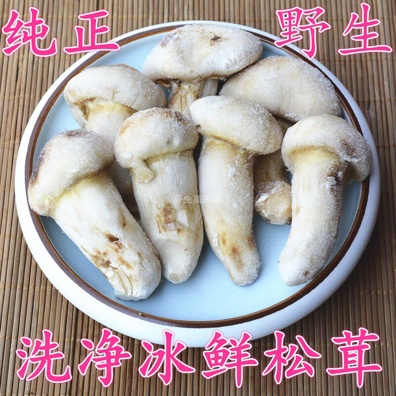 云南香格里拉野生松茸菌出口级非新鲜冰冻洗净中大个煲汤营养美味
