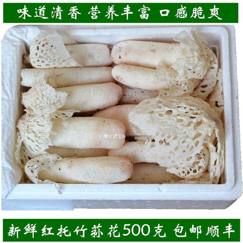 云南新鲜红托竹荪短裙竹花野生食用菌菇煲汤鲜脆美味500克包邮