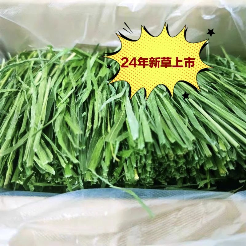 26新草提摩西干草段叶多烘干龙猫荷兰猪用品毛重两斤包邮箱装