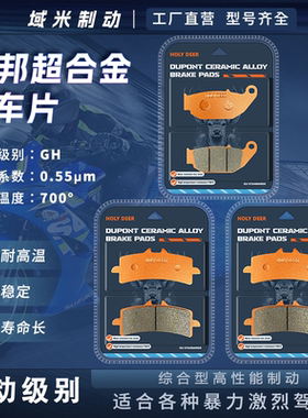 凯越450RR性能版标准版刹车片