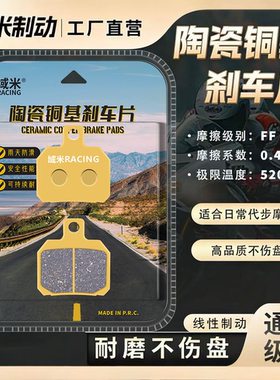 九号E80cMk2 E125MK2 E150MK2 E200PMK2 E300PMK2 前后轮刹车片皮