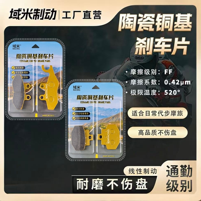维斯帕GTS300刹车片皮耐磨防滑