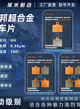 贝纳利黄巡600 黄龙600 TNT600i BN600 BJ600GS-A 前后刹车片碟皮