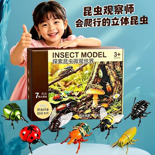 上链发条有翅昆虫仿真玩具可动蜜蜂知了夜光趣味儿童玩具礼物套装