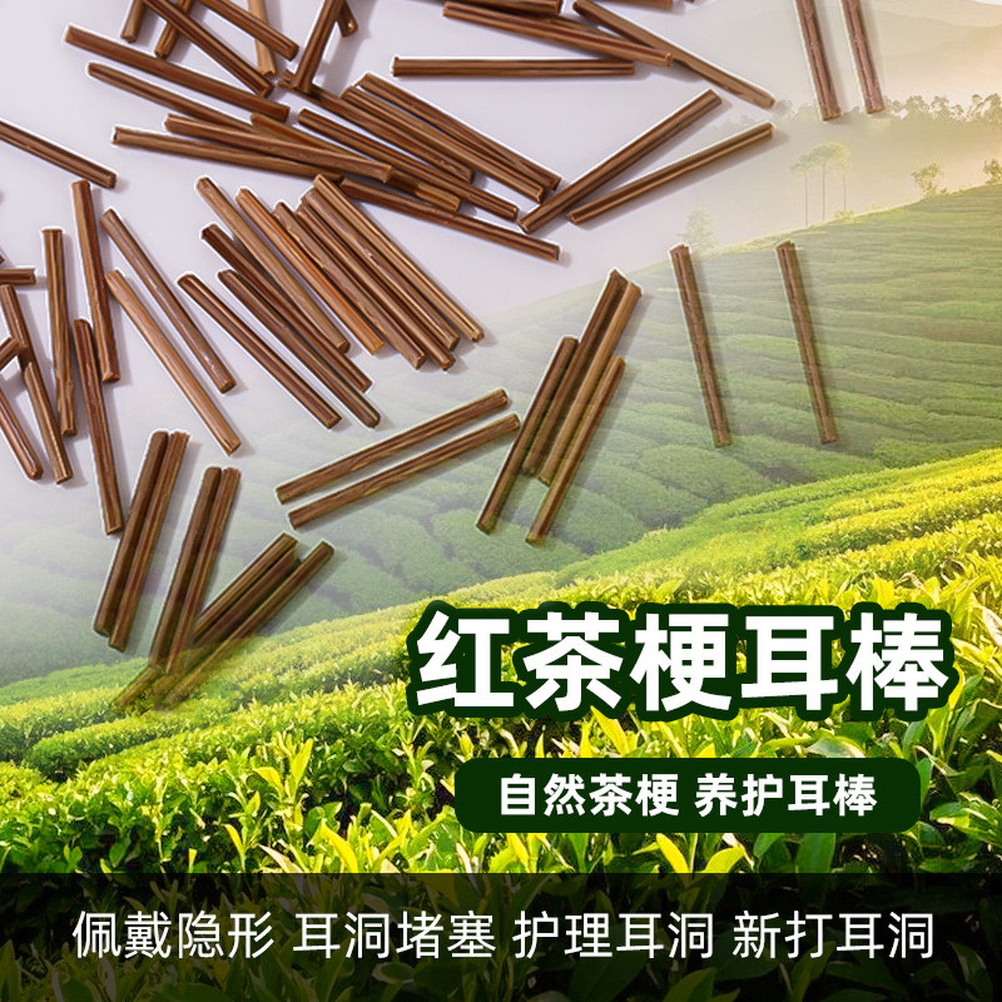 茶叶梗耳棒温和养耳洞耳钉洗澡睡觉免摘自然植物防堵针学生耳饰品