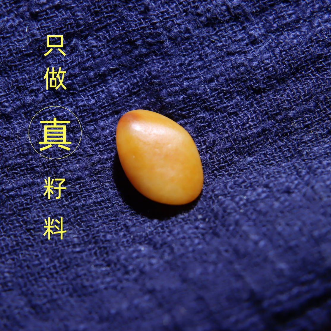 1克全黄沁无修原石戒指料