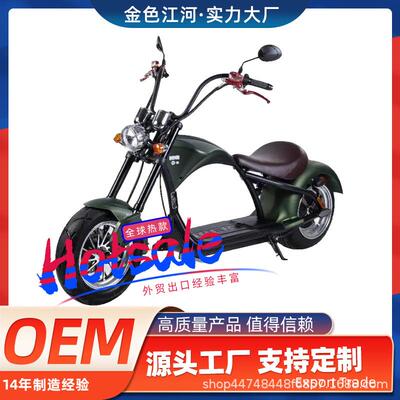 新款厂家Citycoco bike 电动自行车哈雷车电动车电瓶车滑板车