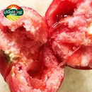 密云西红柿农家新鲜自然熟生吃现摘普罗旺斯好吃沙瓤有籽番茄500g