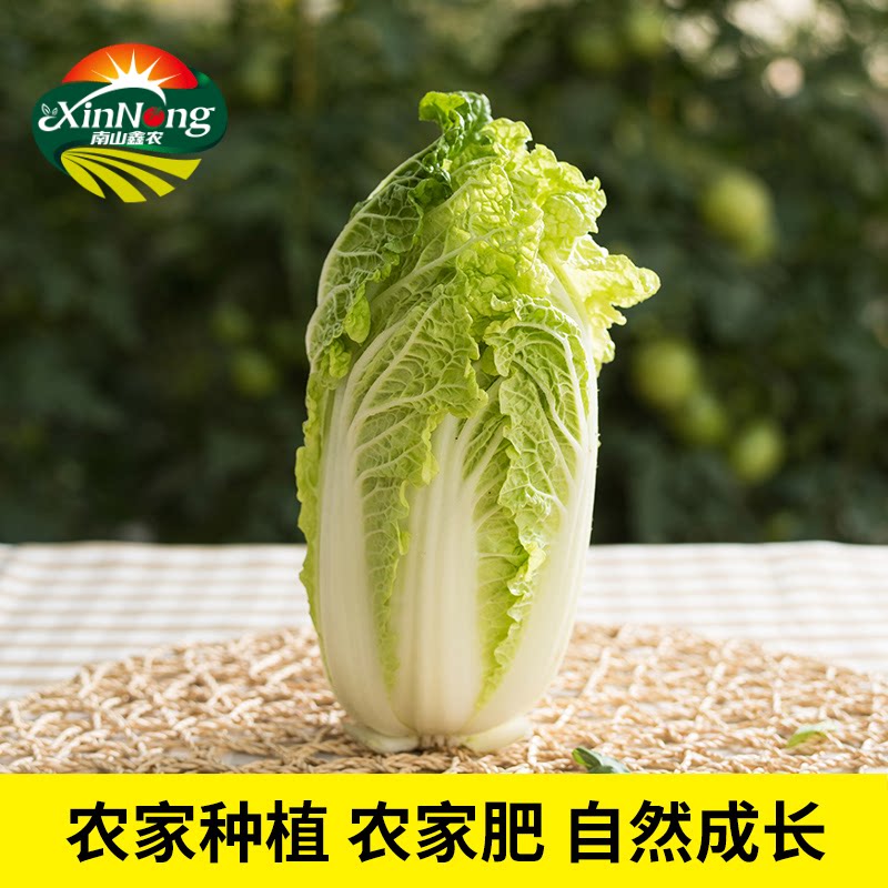 南山鑫农新鲜嫩娃娃菜蔬菜密云农家自种白菜现砍甜宝辅食三宝500g