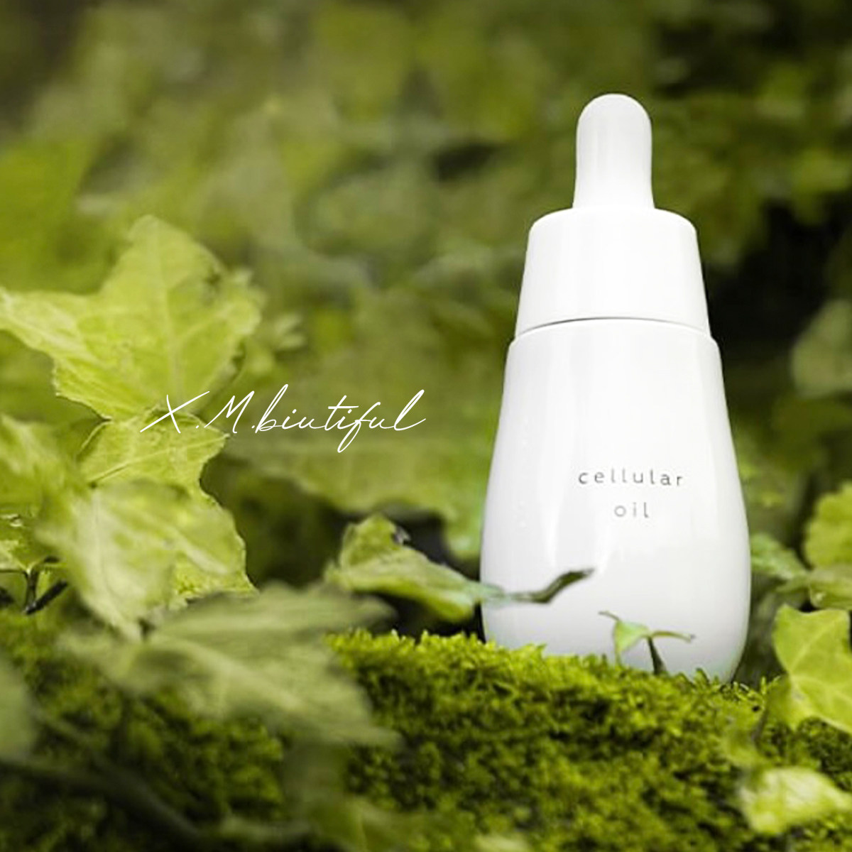 贵妇油Ayuna月光宝瓶精华油柔润紧致提亮肤色植物细胞能油30ml