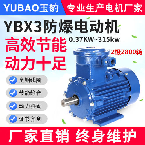 厂家直销工业级防爆电动机