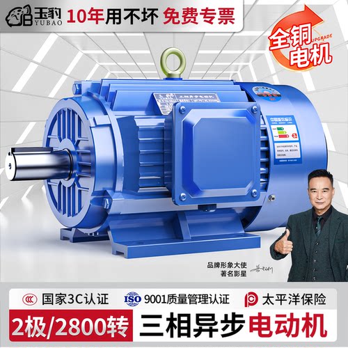 【拒绝铝线】玉豹三相2极电机