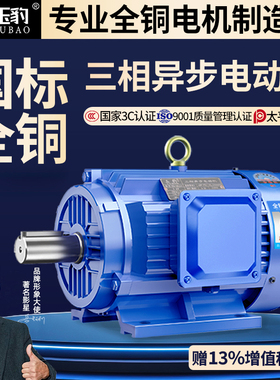 全铜三相异步电动机11/15/18.5/22/30/37/45千瓦55KW国标380V电机