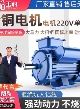 电机220V单相纯铜小型两相0.75/1.1/1.5/2.2/3/4KW异步马达电动机