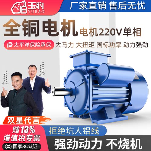 【累销6W】纯铜单相异步电机220V