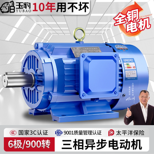 【拒绝铝线】玉豹6极三相电机