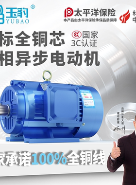 三相异步电动机11/15/18.5/22/30/37/45/55KW千瓦380V全铜电机