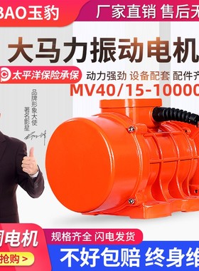 MV40/15-10000/15工业振动电机380v三相异步震动电机下料仓振动器