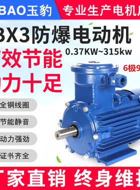 YB3隔爆型0.37KW-315KW三相380V高速6极900转防爆电动机厂家直销