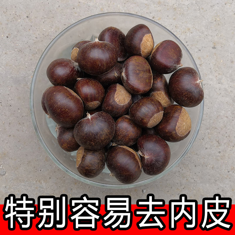 深山野生毛栗子易去皮新鲜山栗子
