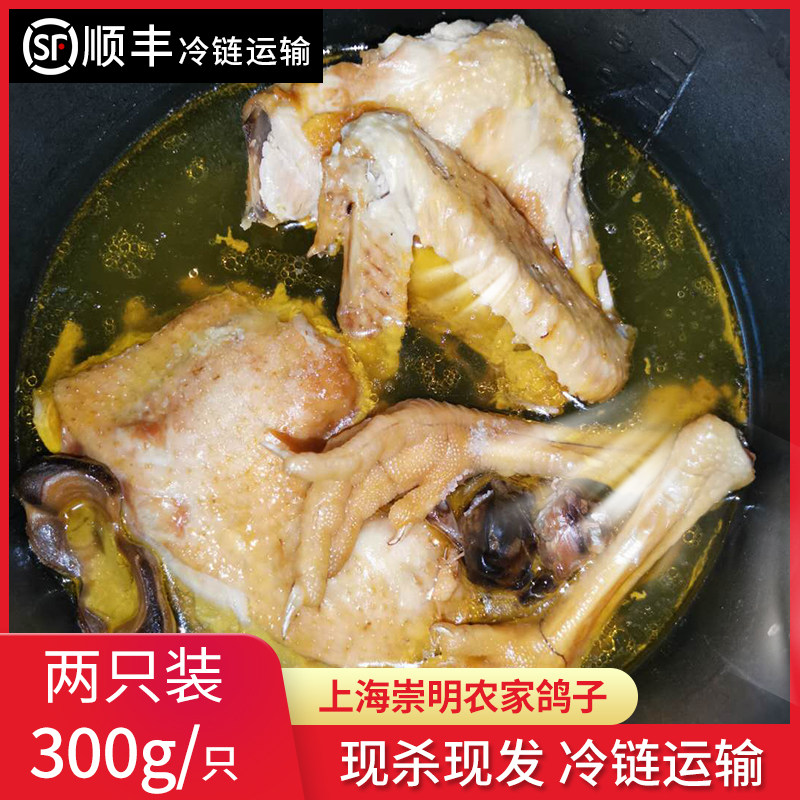 上海崇明顺丰包邮新鲜土鸽子2只烤乳鸽农家散养土现杀鸽子肉生鲜