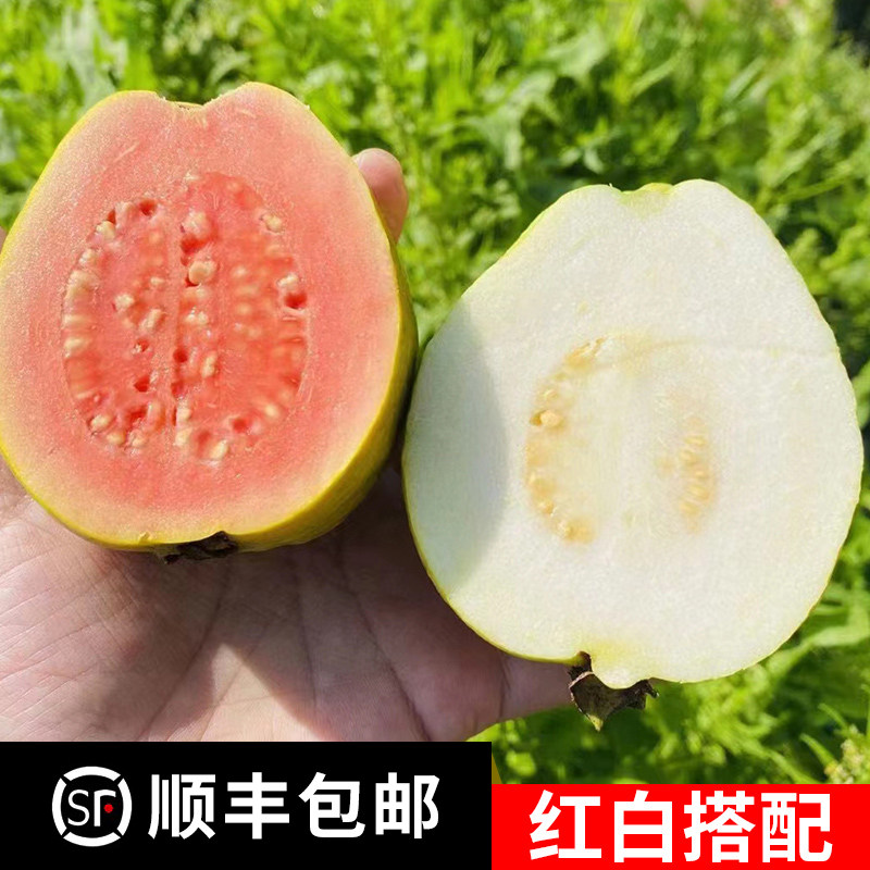软心红心芭乐白心芭乐双拼组合装