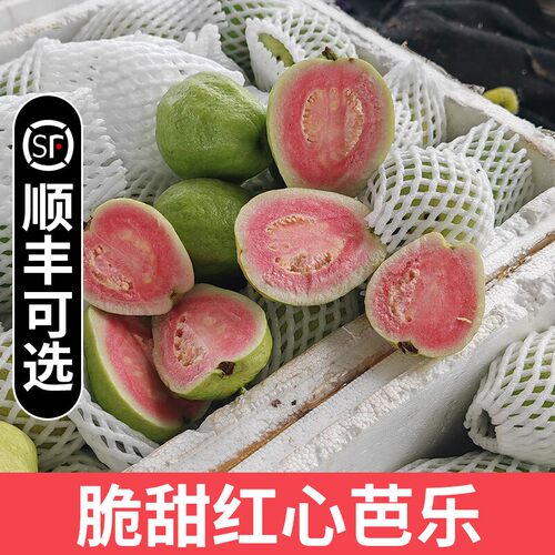 正宗福建脆甜红心芭乐5斤装10-13个当季水果番石榴鲜现摘顺丰包邮