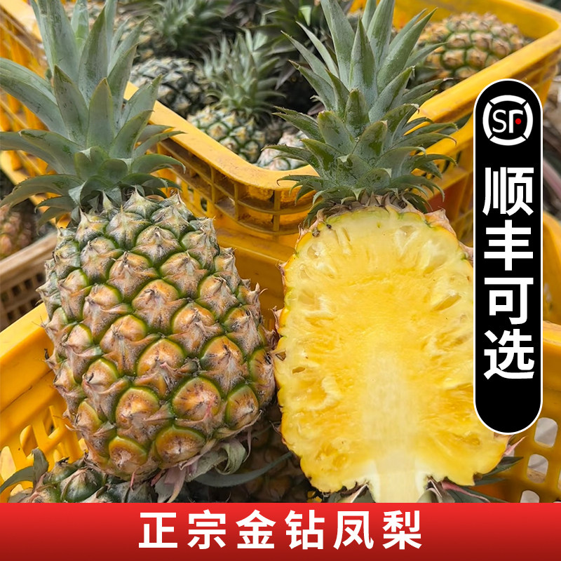 正宗海南金钻凤梨礼盒装新鲜现摘纯甜多汁当季水果非菠萝顺丰可选,水产肉类/新鲜蔬果/熟食,凤梨,淘宝优惠券,粉丝福利购,淘宝优惠卷