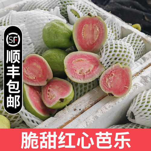 现摘脆甜红心芭乐番石榴顺丰包邮