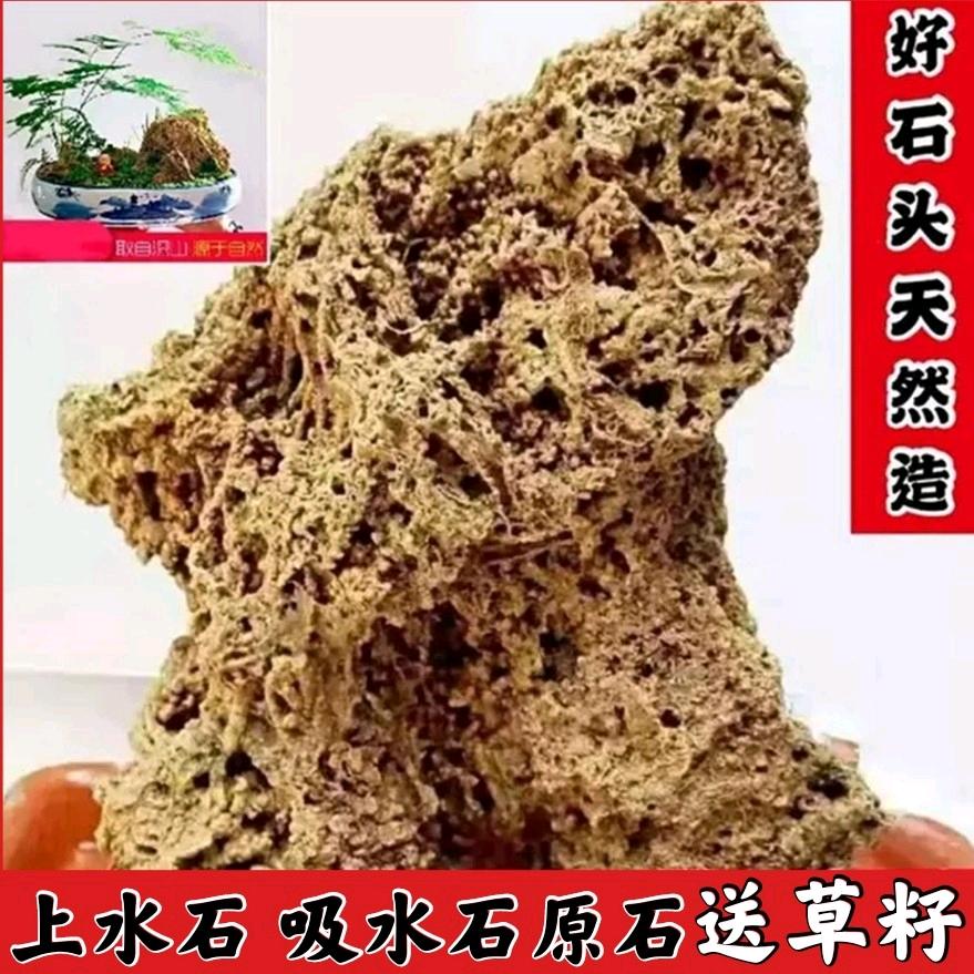 吸水石原石上水石天然盆景麦管石