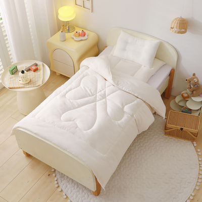 幼儿园三件套内胆单品被芯垫芯