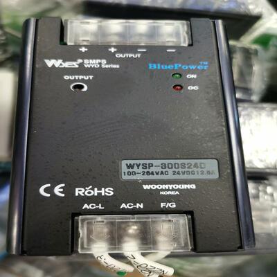 韩国W00NYOUNG导轨电源WYSP-300S24(询价）