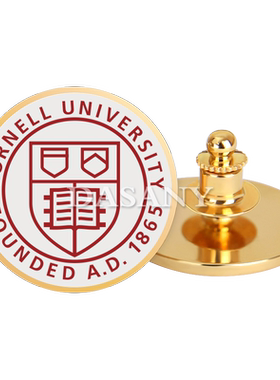 康奈尔大学金属徽章德桑尼金属