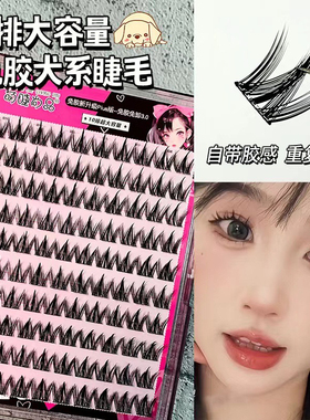 免胶犬系假睫毛！无需胶水自然单簇浓密狗狗眼狐系上镜懒人三部曲