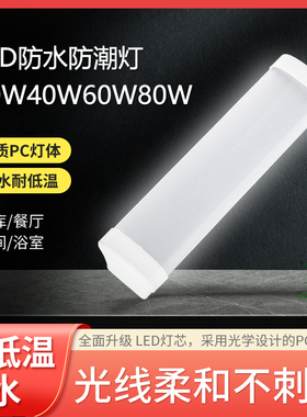 云轩led冷库三防灯20W40W60W80W食品冻库保鲜库防爆防水灯可吊装