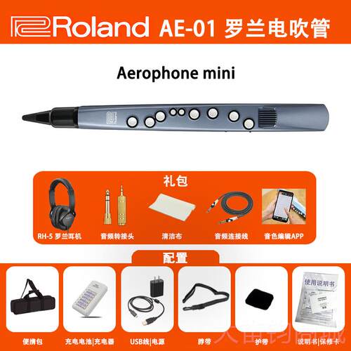 正品Roland罗兰电吹管电子克斯萨年AE-民01C AE-05C老人初学管乐