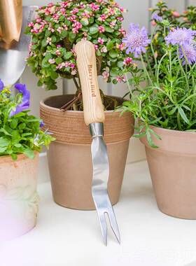 正品erry挖&Bird园艺森林家用小园艺工B具起草器草移苗户外除野菜