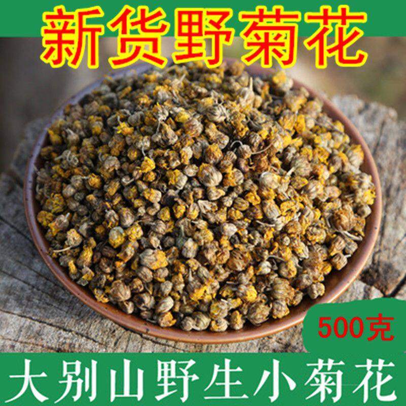 野菊花正宗大别山野生无