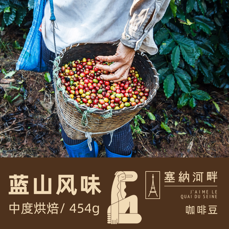 塞纳河畔风味咖啡豆454g
