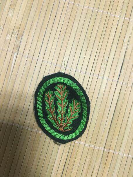 德军猎兵臂章 轻步兵刺绣橡叶袖章