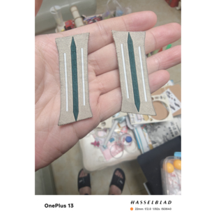 进口高端德国陆军领章【国防军深绿色】买的多可以批发价格