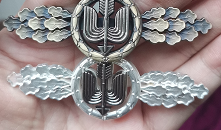 夜间作战金属胸章