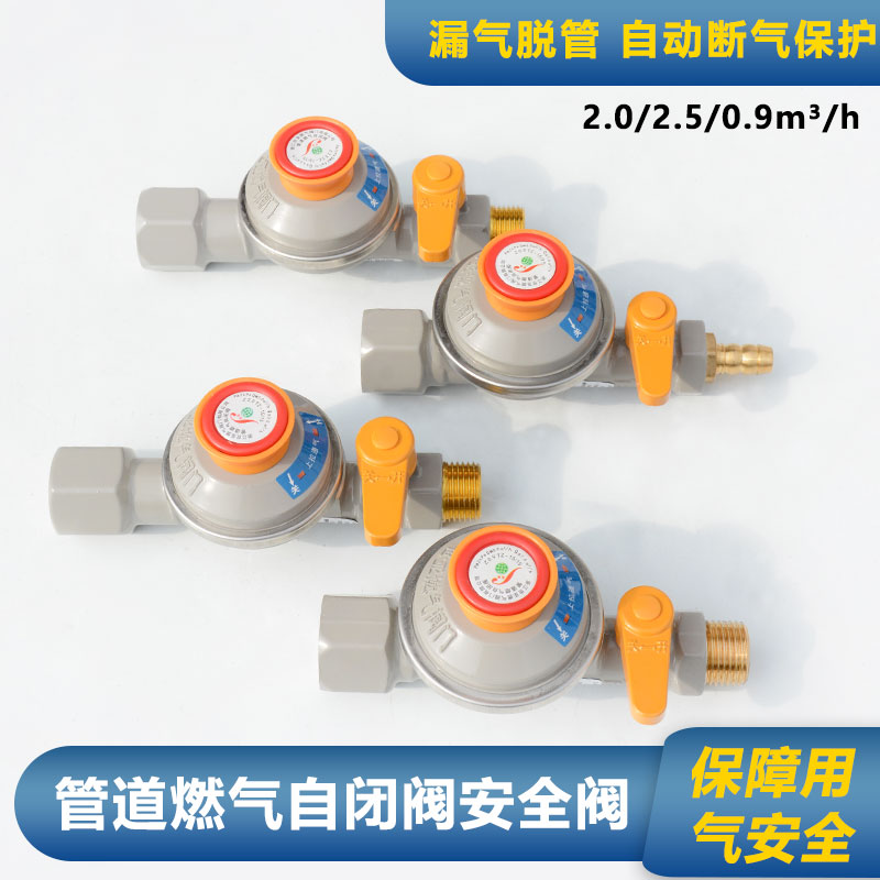 世亚管道燃气自闭阀安全阀图片