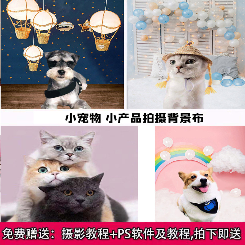 网友分享在meiguo.com的图片