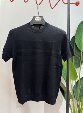 2024秋冬款短袖纯毛衫针织衫商务休闲低圆领薄款17008