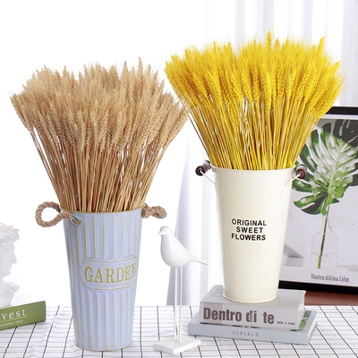 麦穗稻小大干花天然植物装